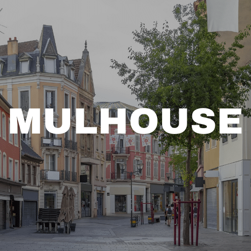 mulhouse CQP EMV IFV 